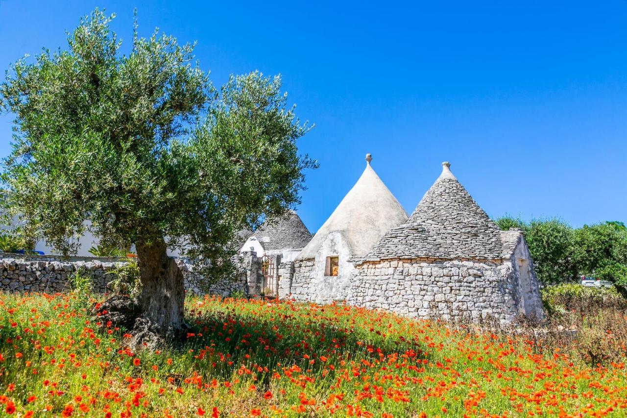 Apartament Domus Otium Ostuni - Tiny House Zewnętrze zdjęcie